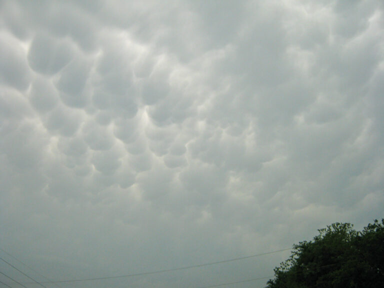Mammatus